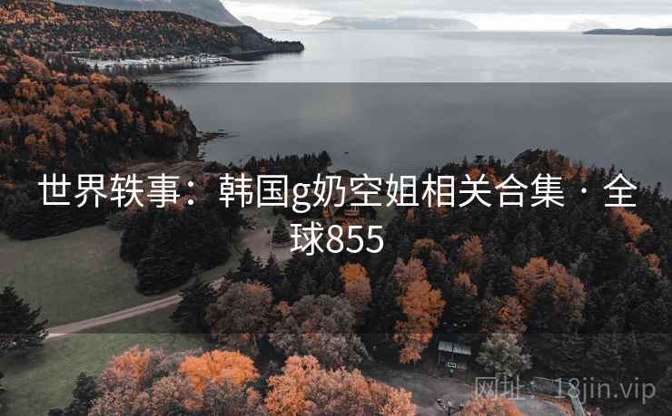 世界轶事：韩国g奶空姐相关合集 · 全球855