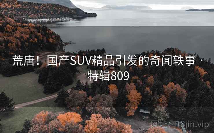 荒唐！国产SUV精品引发的奇闻轶事 · 特辑809